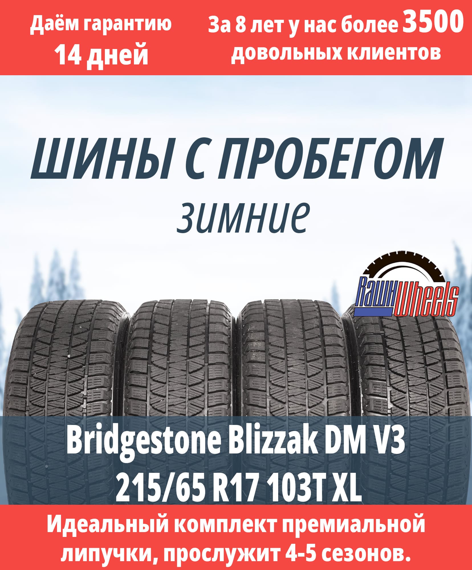 Bridgestone Blizzak DM V3 215/65 R17 103T XL