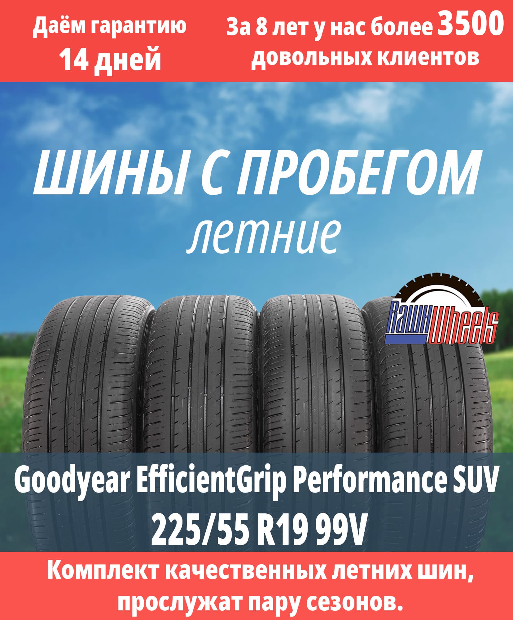 Goodyear EfficientGrip Performance SUV 225/55 R19 99V