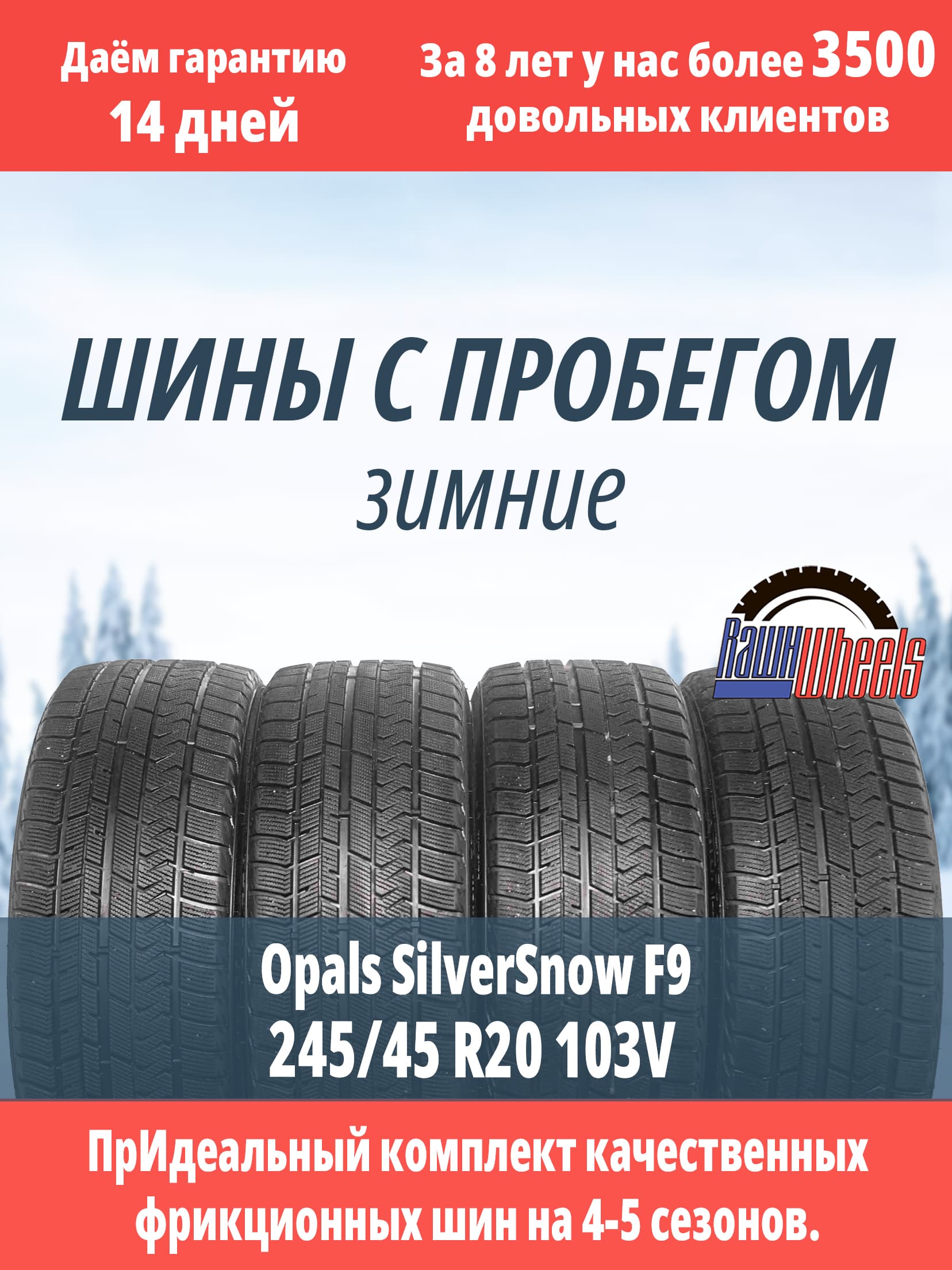 Opals SilverSnow F9 245/45 R20 103V