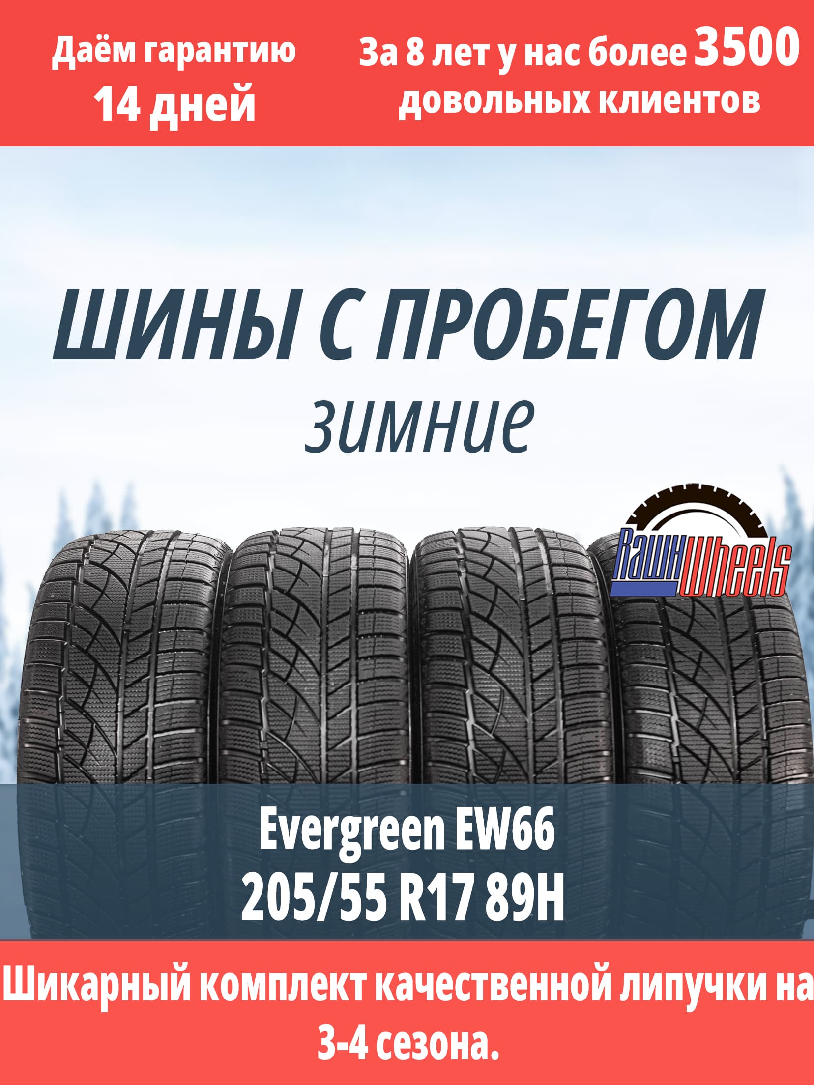 Evergreen EW66 205/50 R17 89H